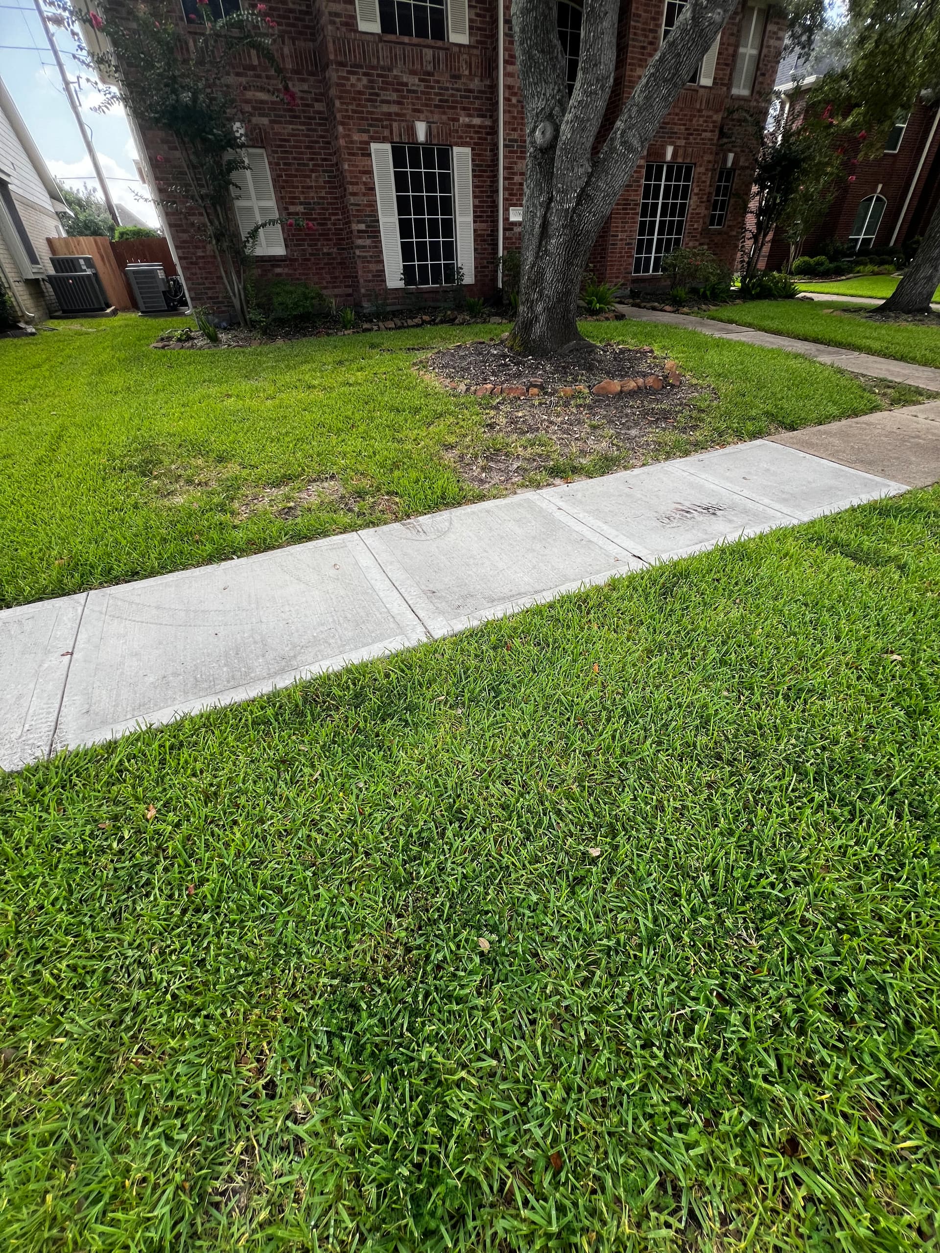 Gallery photos for Cracked Sidewalk Replaced With Clean Concrete Walkways: Image #3