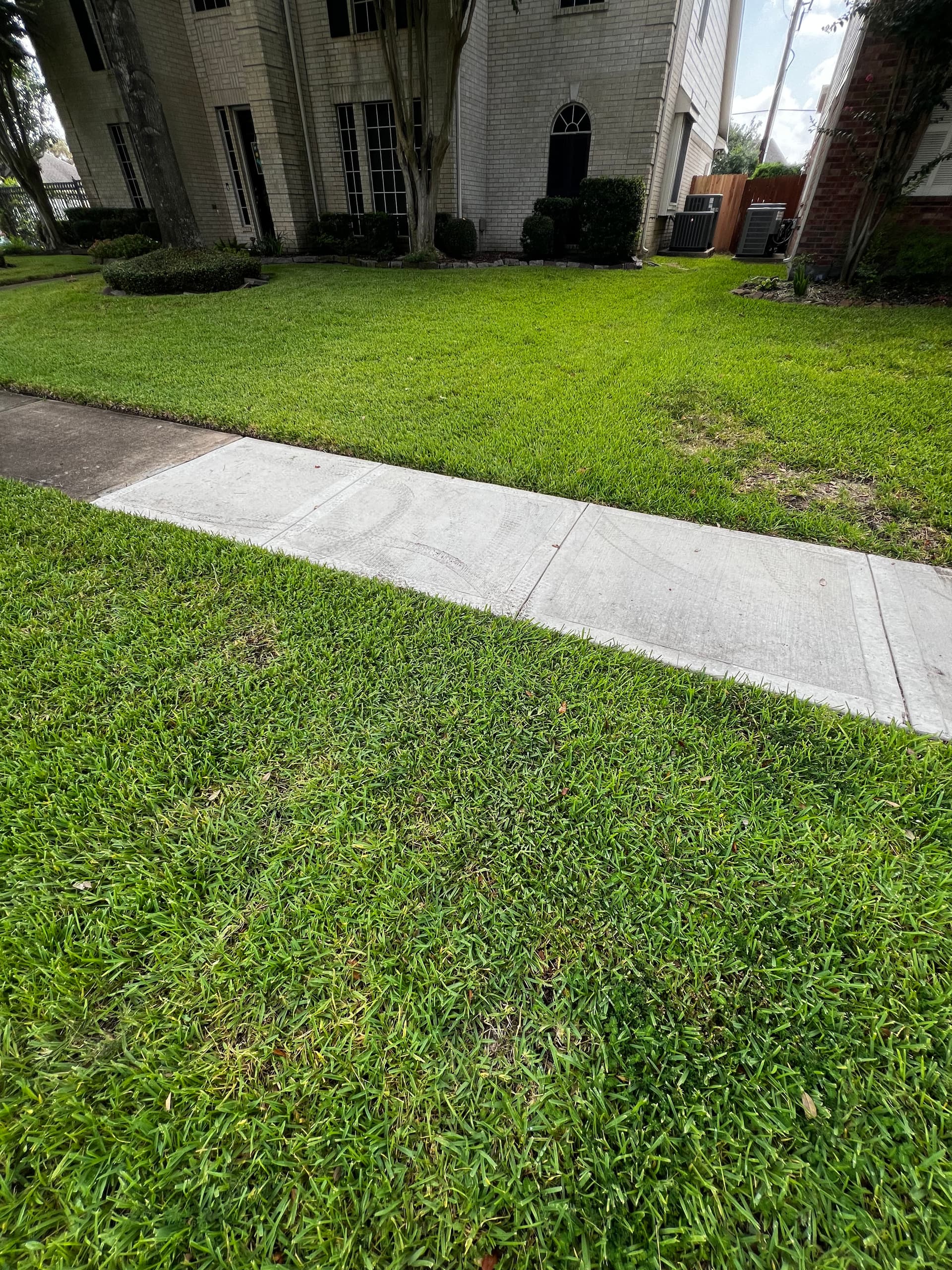 Cracked Sidewalk Replaced With Clean Concrete Walkways