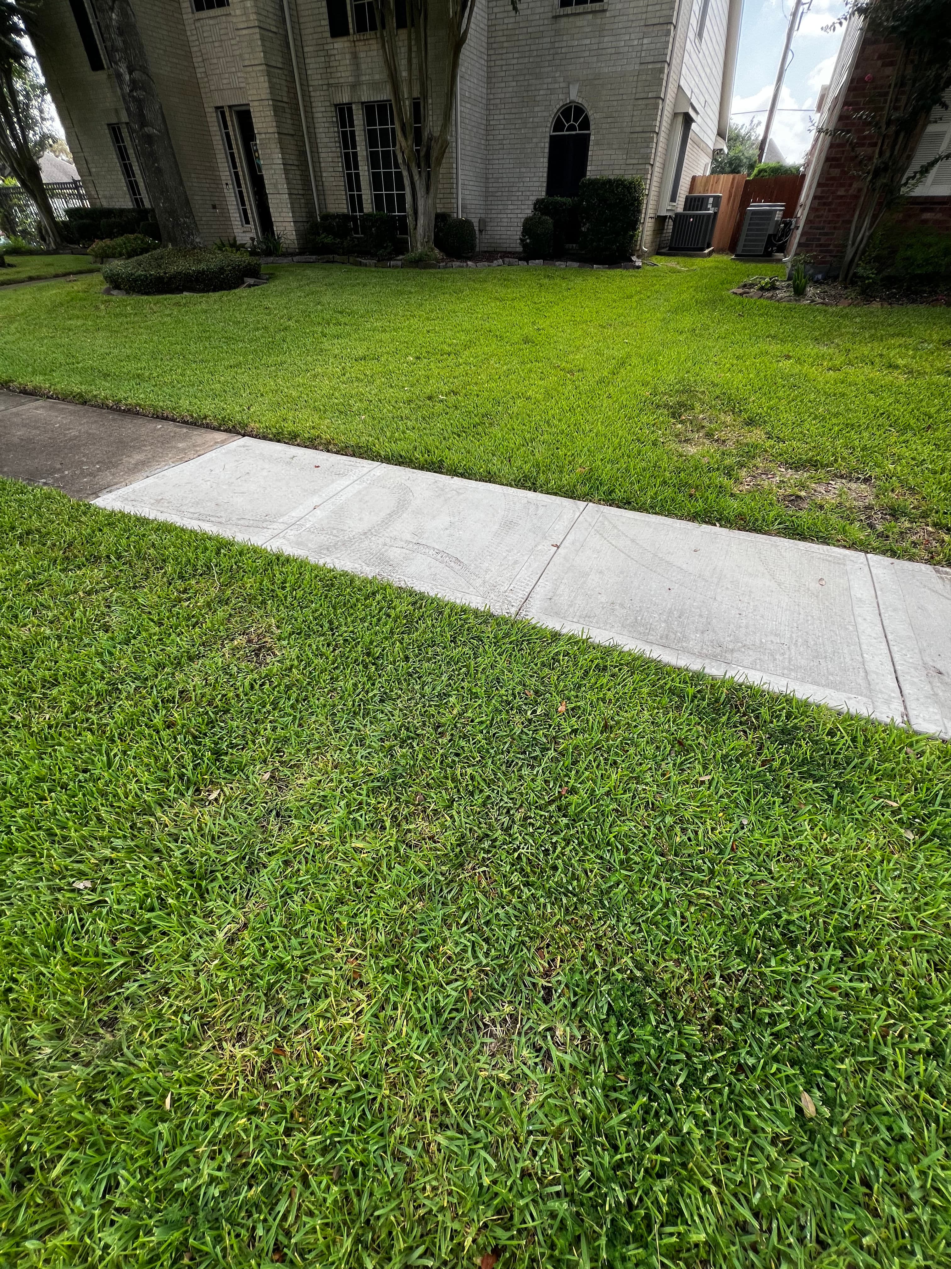Project Cracked Sidewalk Replaced With Clean Concrete Walkways image